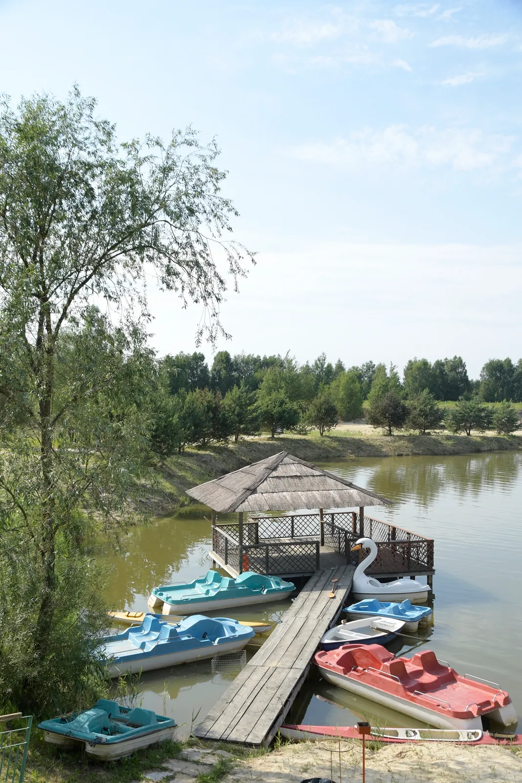 Zdjęcie 6