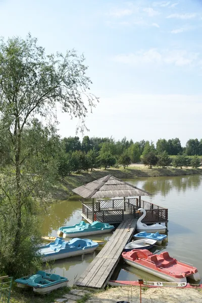 Zdjęcie 6