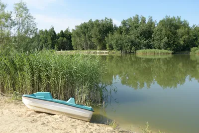 Zdjęcie 10